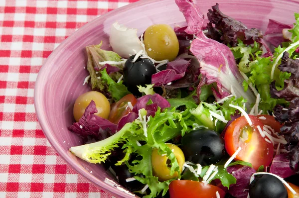 Verse gemengde salade — Stockfoto