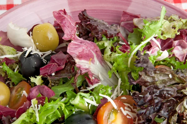 Verse gemengde salade — Stockfoto