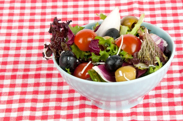 Verse gemengde salade — Stockfoto