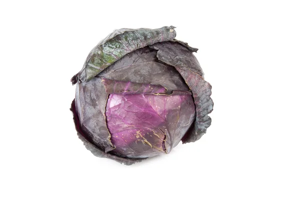 Red cabbage on a white background — Stock Photo, Image