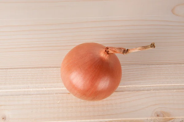 Few different onions — Stock Photo, Image