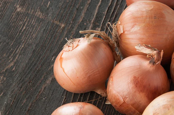 Paar verschillende uien — Stockfoto