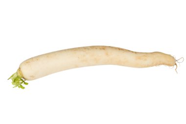 beyaz zemin üzerine Daikon turp