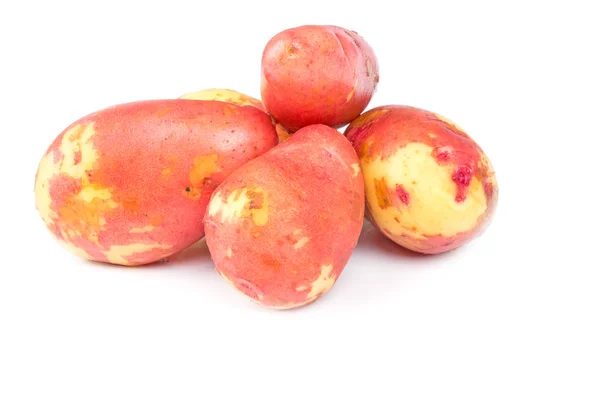 Red potatoes on white background — Stock Photo, Image