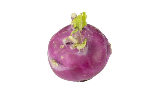 Kohlrabi cabbage — Stock Photo, Image