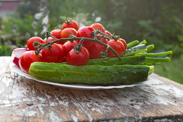 Plate with cherry tomatoes, cucumber, pepper — Stock Photo, Image