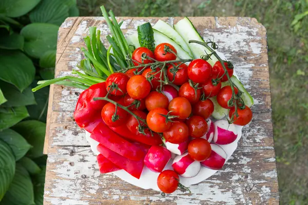 Plate with cherry tomatoes, cucumber, pepper — Stock Photo, Image