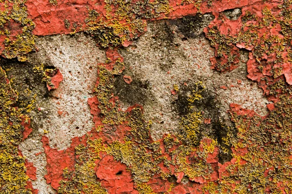 Пилинг краски на бетоне и лишайник на стороне здания — стоковое фото