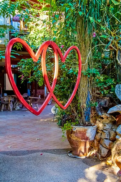 이스라엘 Julis Israel 2021 Mona Gardens 안에서 촬영을 프레임달기 사랑의 — 스톡 사진