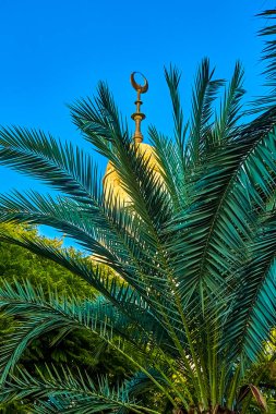 Güneşli bir günde bir caminin kubbesi ya da palmiye dallarının arkasındaki minare. inanç ve din İslam