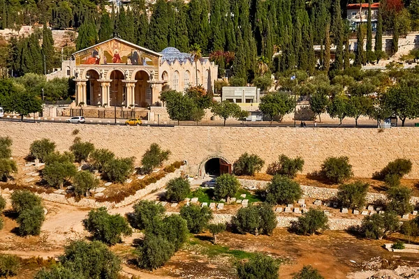 Jeruzalem Israël November 2021 Zicht Kerk Van Alle Volkeren Tuin — Stockfoto