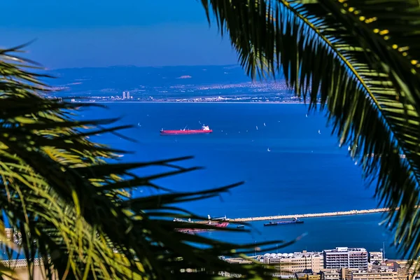 Vista Mar Navio Cidade Haifa Através Das Folhas Palmeira — Fotografia de Stock