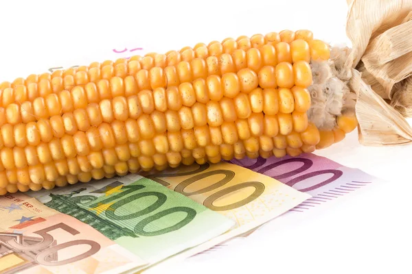 Euro banknotes with corn cob — Stock Photo, Image
