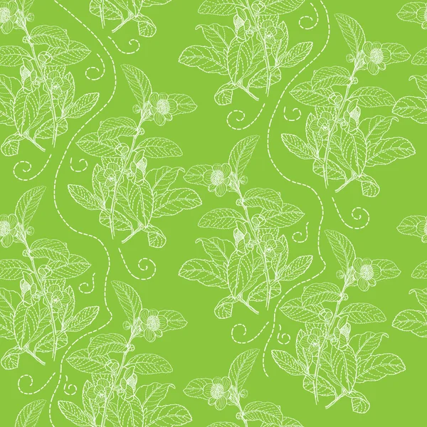 Ziołowe grafika camelia pattern_green — Zdjęcie stockowe