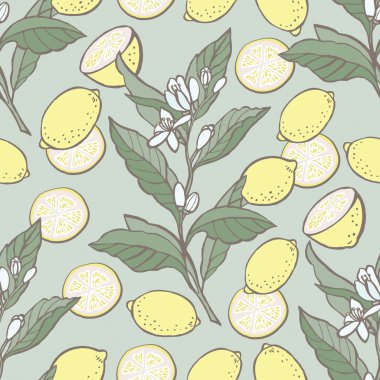 limon ile vektör arka plan