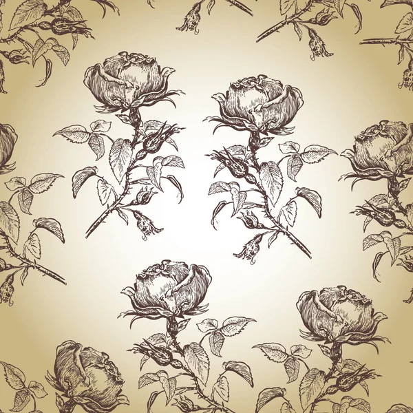 Graphic pattern with roses — Stock Photo, Image