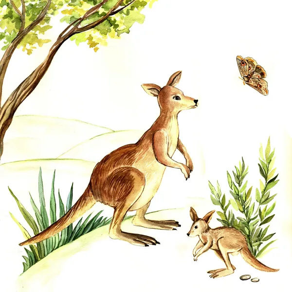 Watercolor illustration of a kangaroo — Stock Photo, Image
