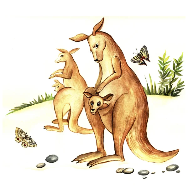 Watercolor mother kangaroo with kangaroo — Stock Photo, Image