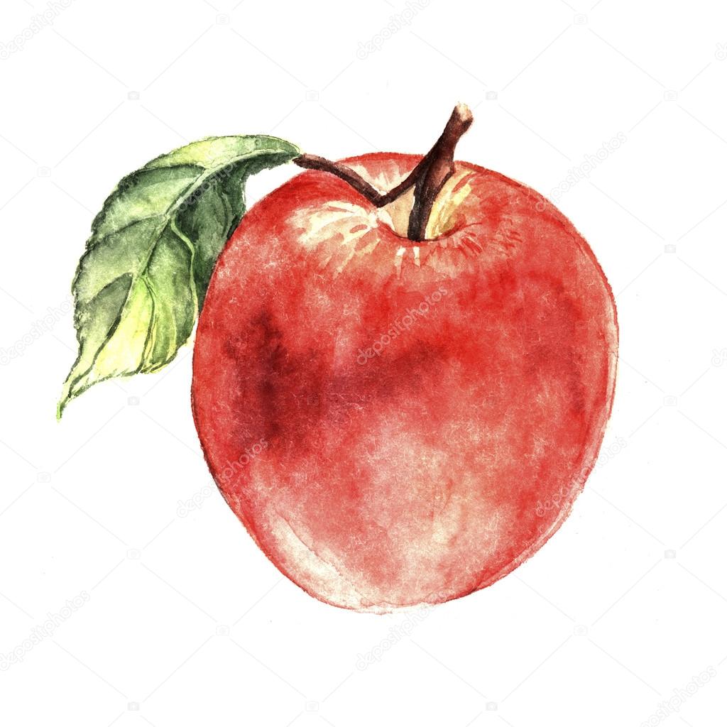 Watercolor apple — Stock Photo © Ann_art #24932401