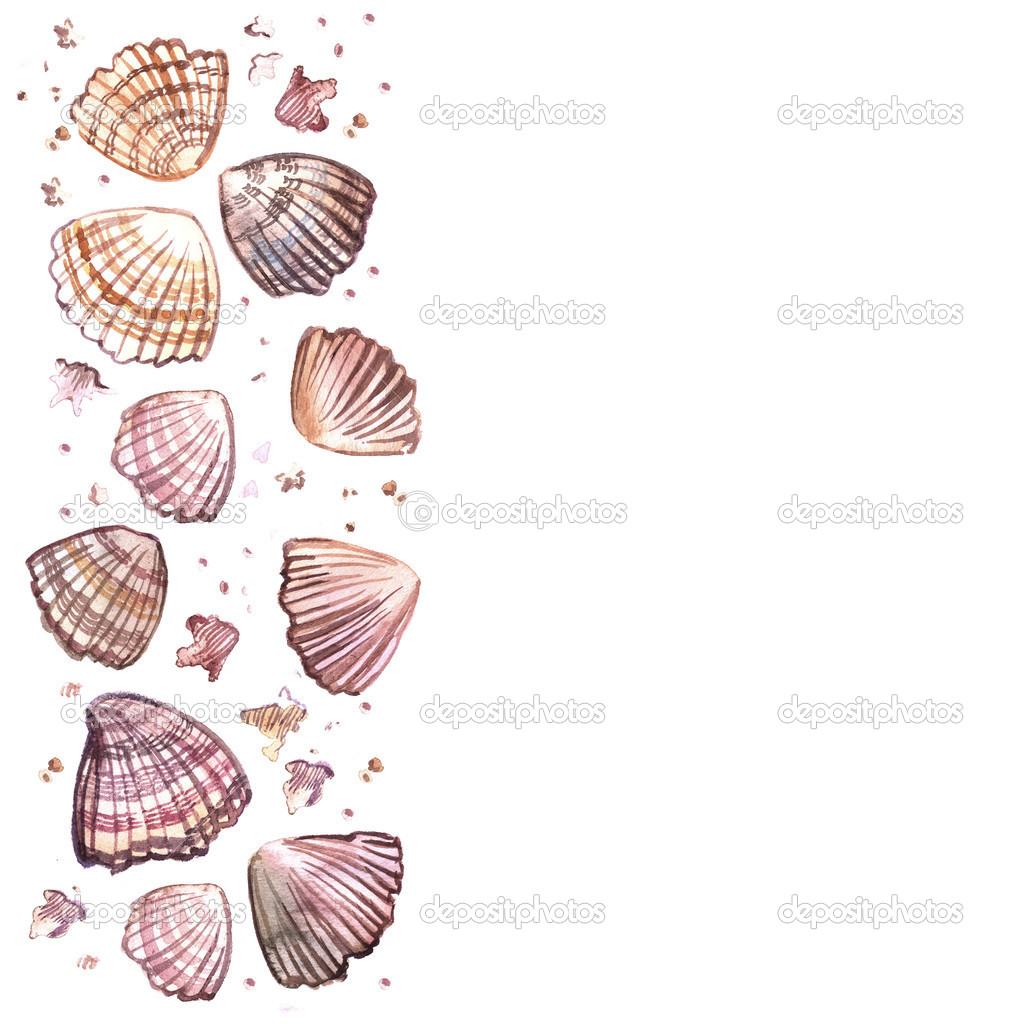 watercolor seashells