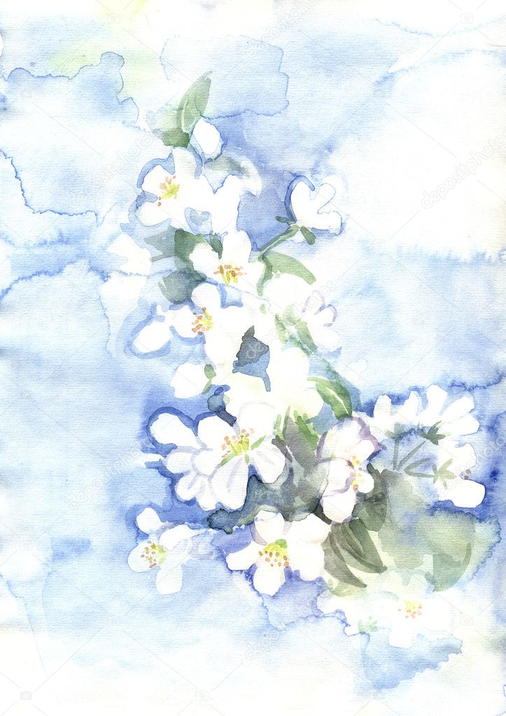 watercolor spring flowers