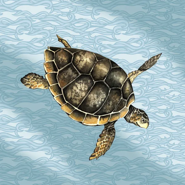 Watercolor turtle in the sea — Stock Photo, Image