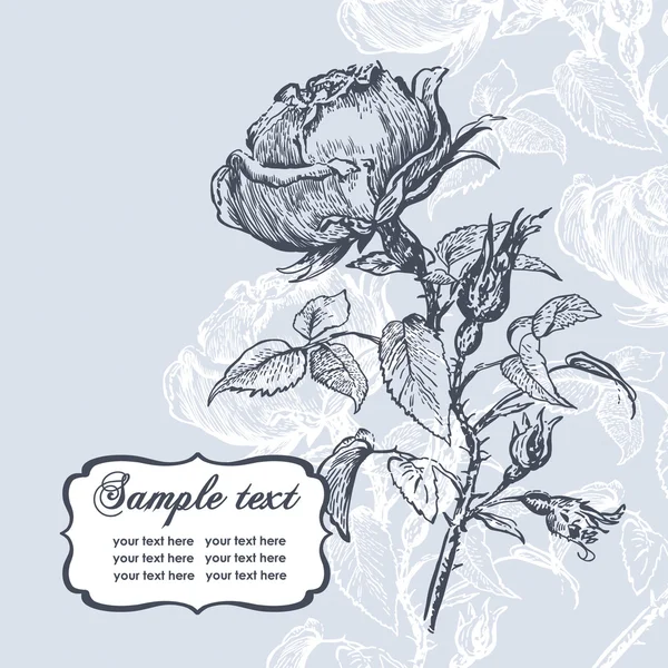 Romantický karta s růží — Stockový vektor