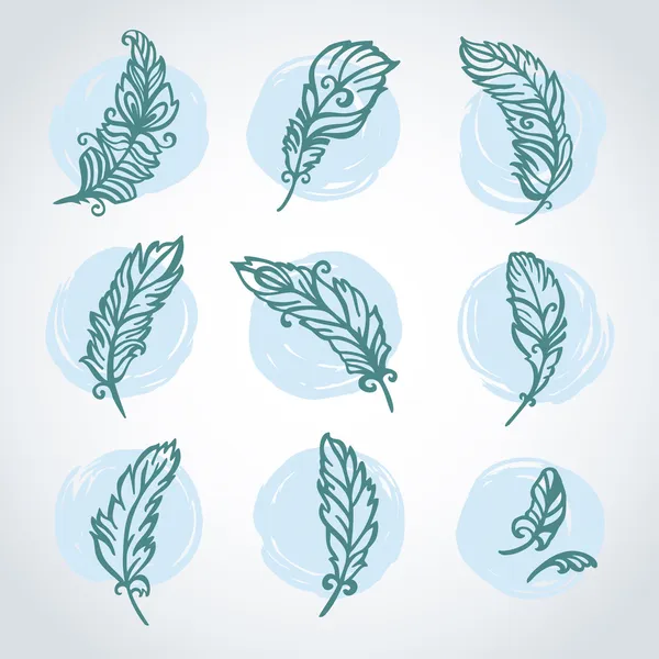 Vector set with feathers — Stock Vector