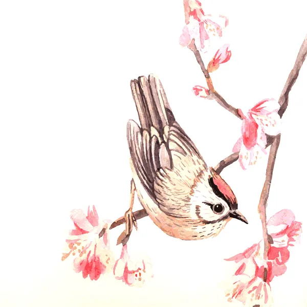 ベクトル水彩春の鳥 — ストックベクタ