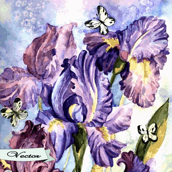 Vector watercolor irises with butterflies Royalty Free Stock Vectors