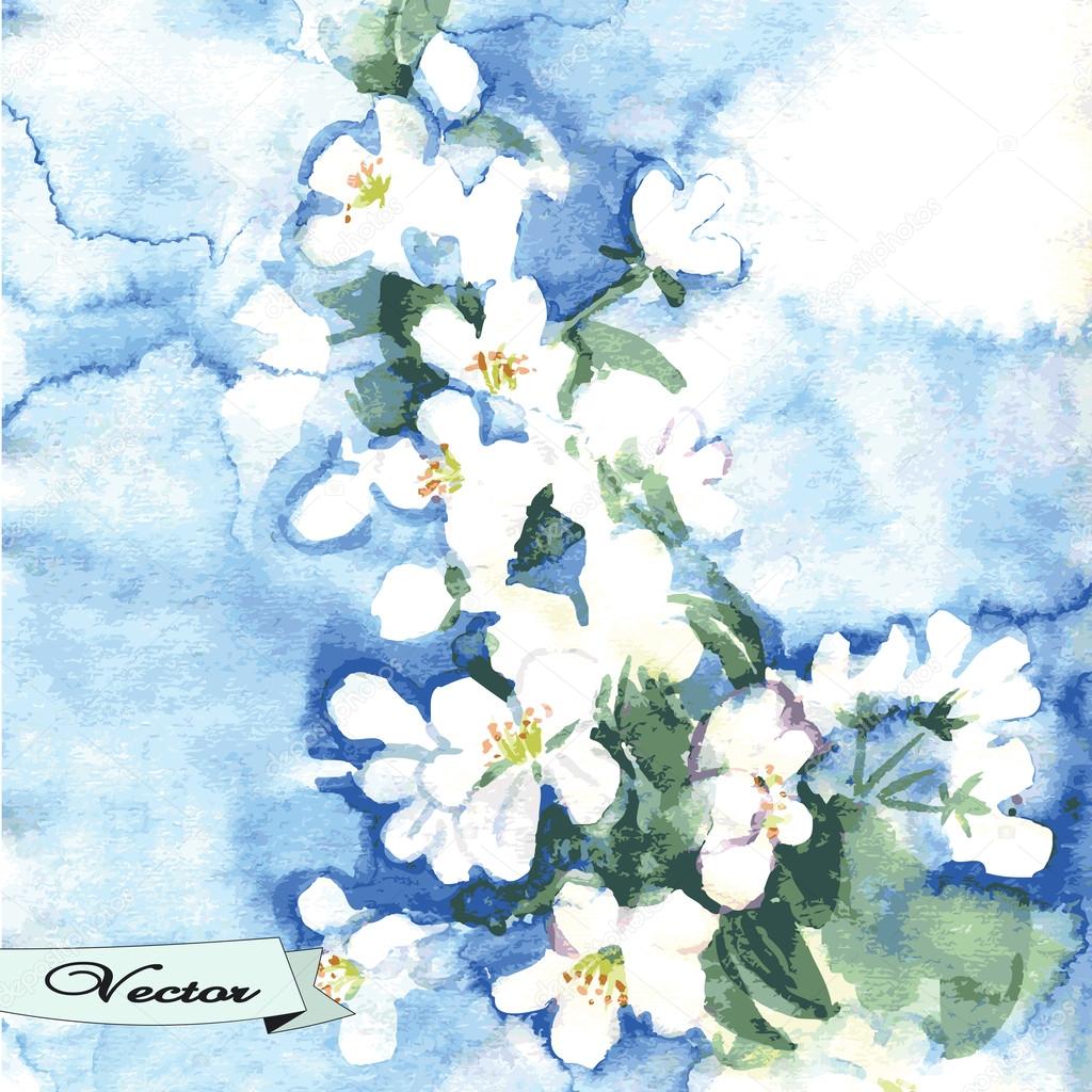 Vector watercolor spring flowers