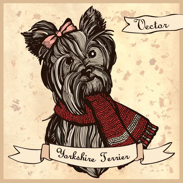 Illustration av en söt Yorkshire Terrier — Stock vektor