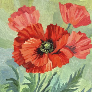 Akrilik poppies boyama el