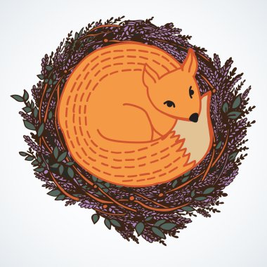 Fox uyku.
