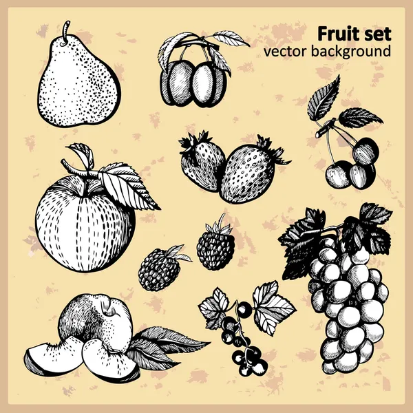 Vector set of fruit icons — Stock Vector