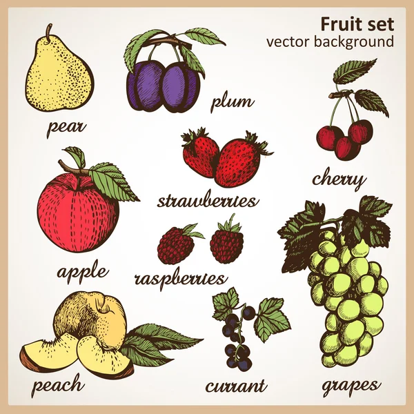 Hand tekening gekleurde fruit set. — Stockvector