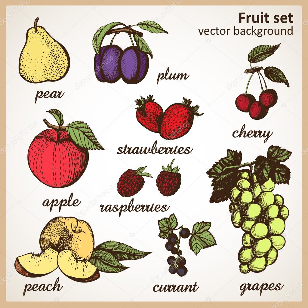 Set disegno di frutta colorata a mano — Vettoriale Stock