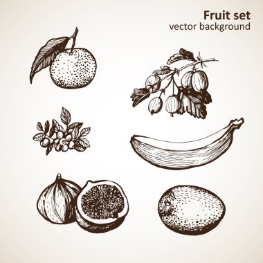 vektör çizimi grafiği meyve ayarla