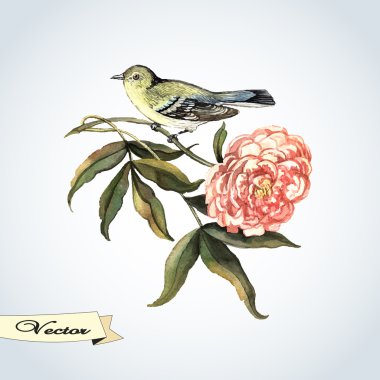 vektör suluboya kuş ve çiçek Şakayık