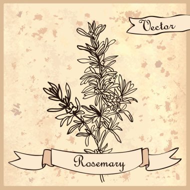 rosemary ile klasik kart.