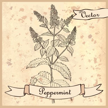 nane ile klasik kart