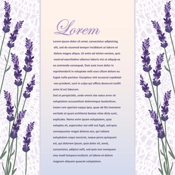 Schöner Hintergrund mit Lavendel — Stockvektor
