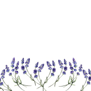 Lavanta suluboya arka plan