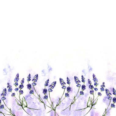 Lavanta suluboya şablonu