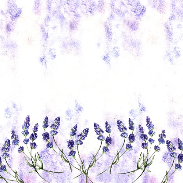 Lindo fondo acuarela lavanda — Foto de Stock