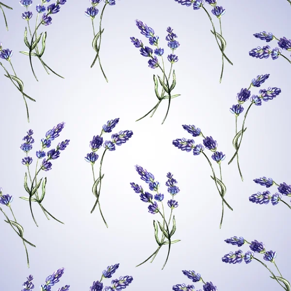 Padrão de lavanda aquarela — Fotografia de Stock