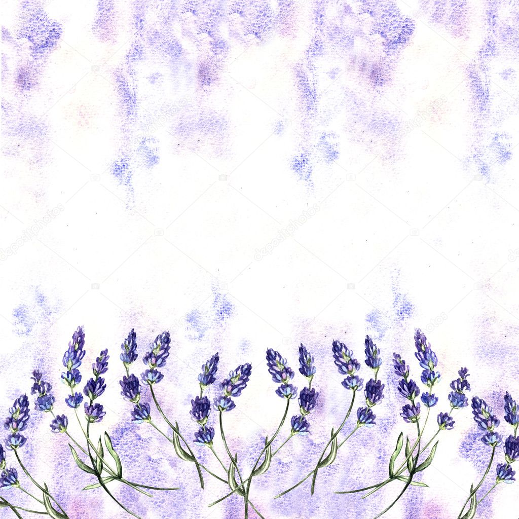 Cute lavender watercolor background — Stock Photo © Ann_art #42550221