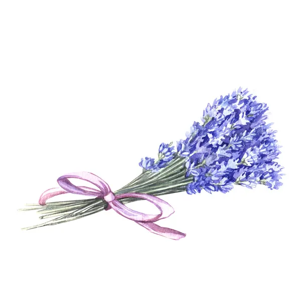 Watercolor bouquet of lavender