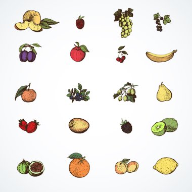 meyve tarzı el grafik simgeler.