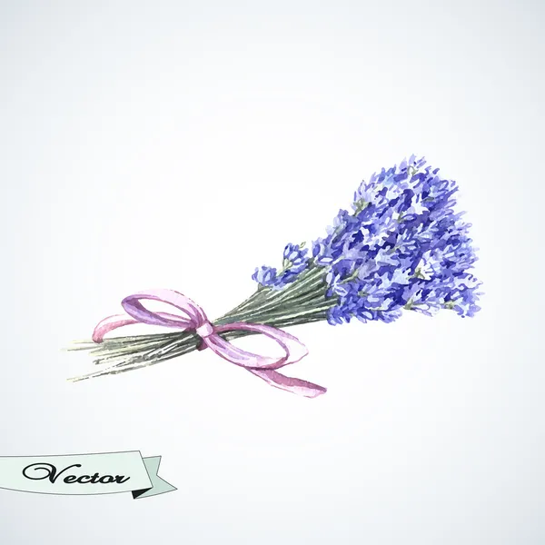 Aquarell Bouquet von Lavendel. — Stockvektor